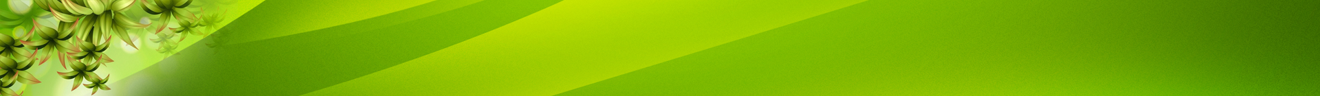 innerpage banner